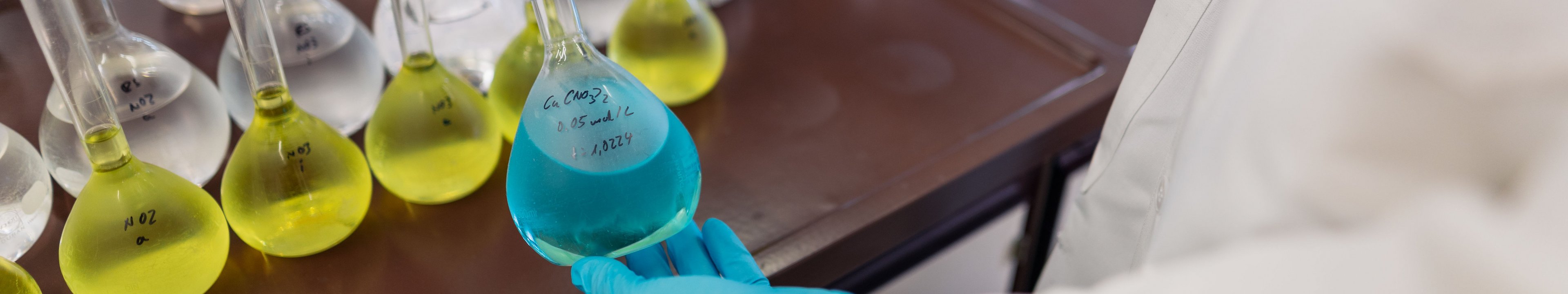 Im Labor werden Flüssigkeiten in Reagenzgläsern untersucht.